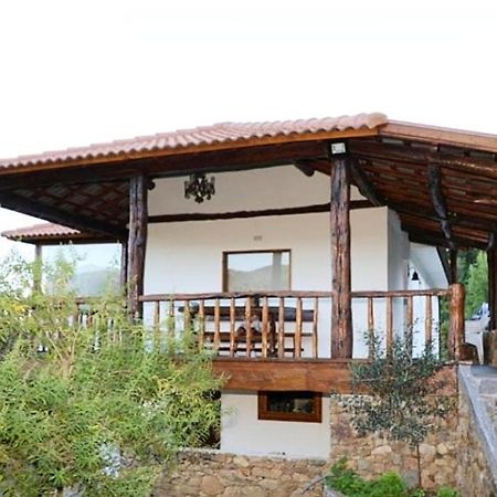 Quintinha D'Amelia Villa Celorico De Basto Exterior photo