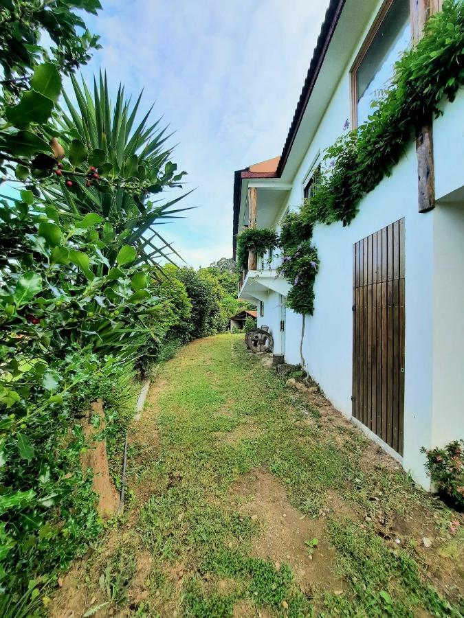 Quintinha D'Amelia Villa Celorico De Basto Exterior photo