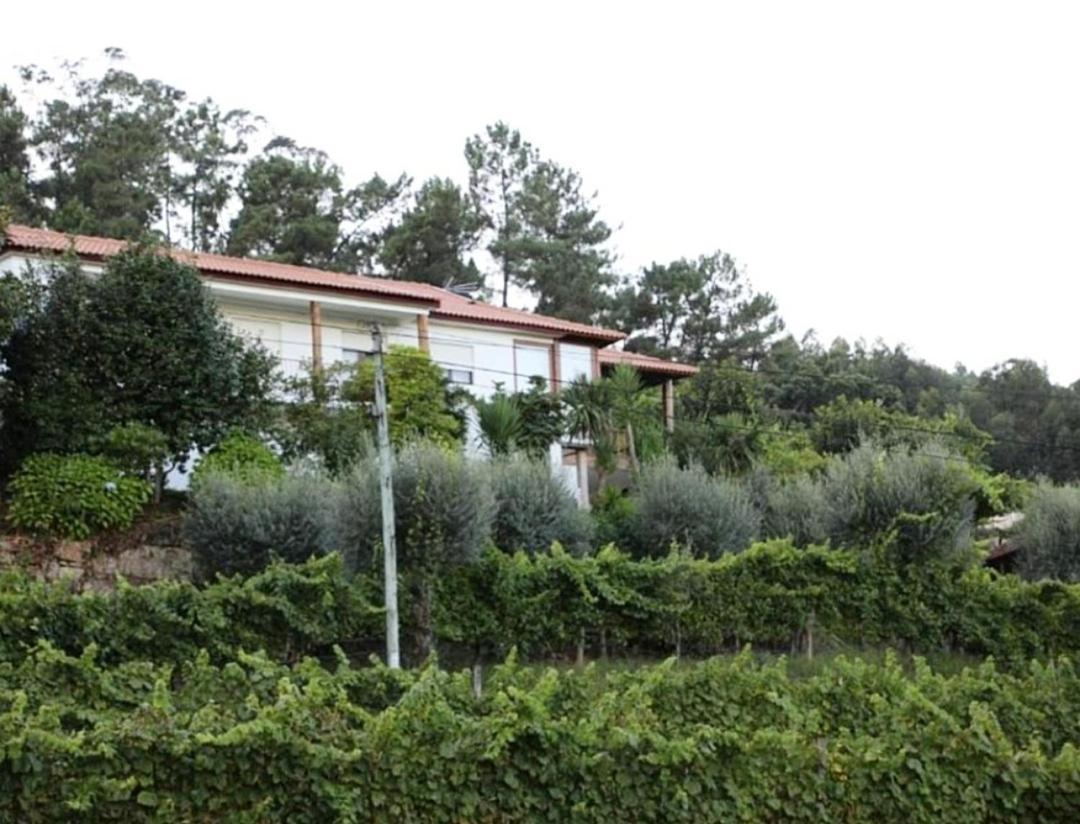 Quintinha D'Amelia Villa Celorico De Basto Exterior photo